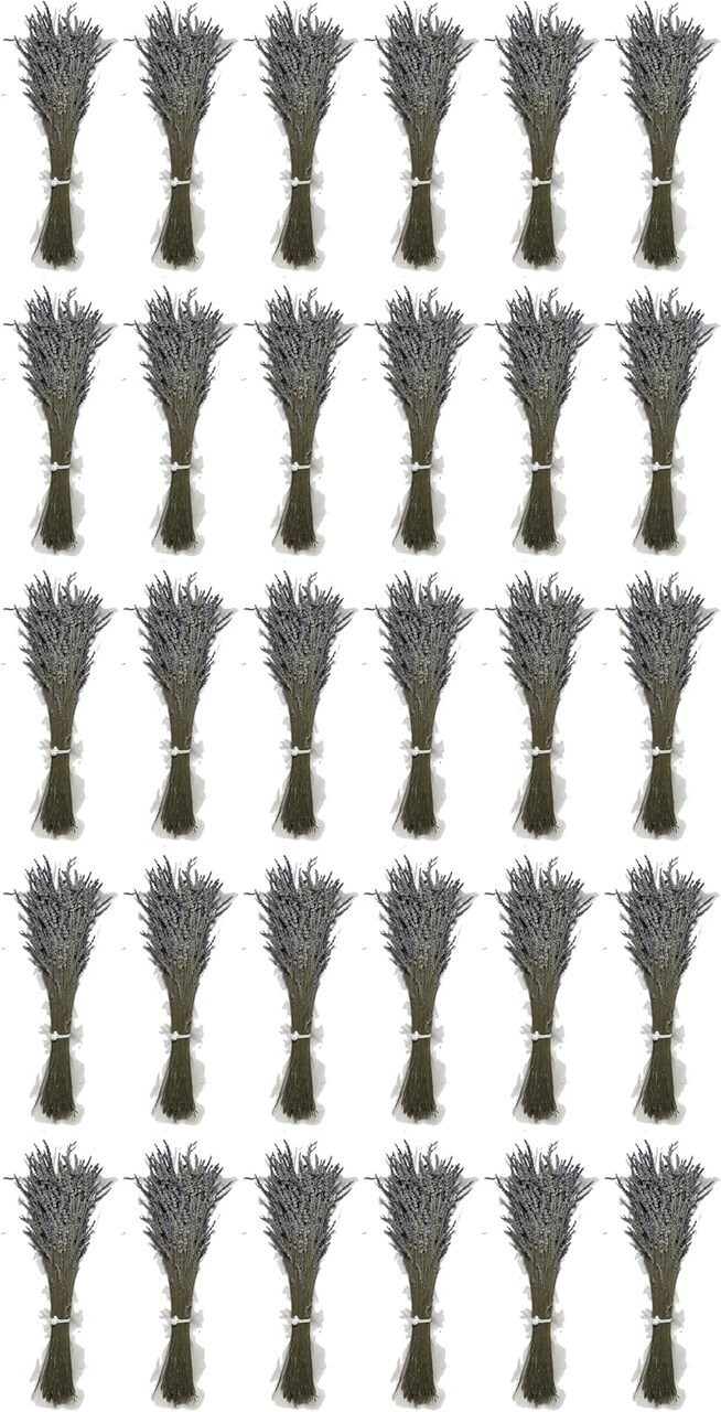 Natural Dried Lavender Flower Bundle Grosso Bulk Bunches | 3000 Stems, 23 inch Extra Long, 8 lb | Home Decoration, Fragrance, Bouquet Weddin